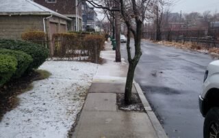 Snow-dusted sidewalk with trimmed hedges and tree maintenance along street