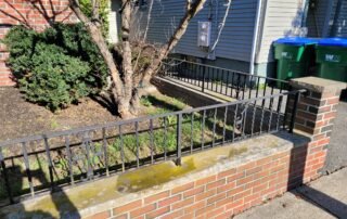Overgrown front yard with shrubs and tree before landscaping maintenance