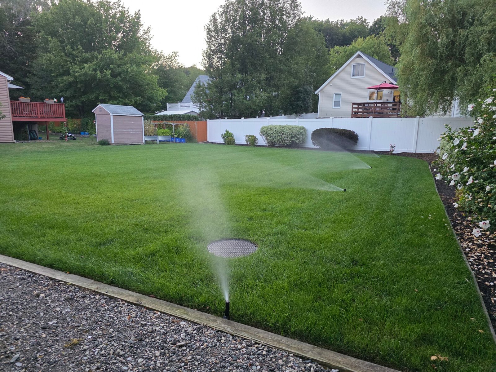 Backyard lawn with sprinklers watering grass for healthy landscape maintenance