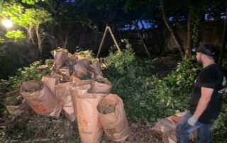 Worker with bags of collected yard debris during landscape cleanup project
