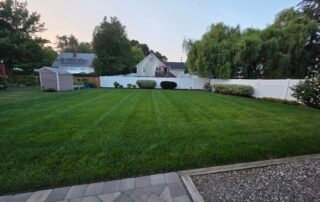 Freshly mowed backyard lawn with white fence, shrubs, and garden shed