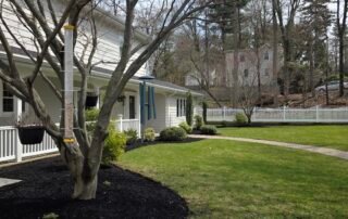 Fresh black mulch around trees and shrubs in well-maintained front yard
