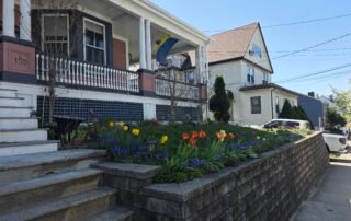Colorful flower bed with tulips and daffodils in front yard landscaping