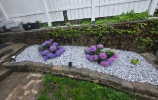 Hydrangea plants in stone-covered flower bed with garden wall edging