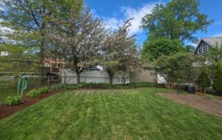 Freshly cut green lawn with flowering trees and mulched garden beds