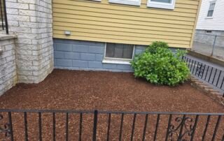 Freshly mulched front yard with trimmed shrub beside residential home
