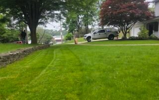 Freshly cut residential lawn with worker trimming trees in the background