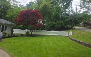 Freshly mowed lawn with red maple tree and white fence in landscaped yard