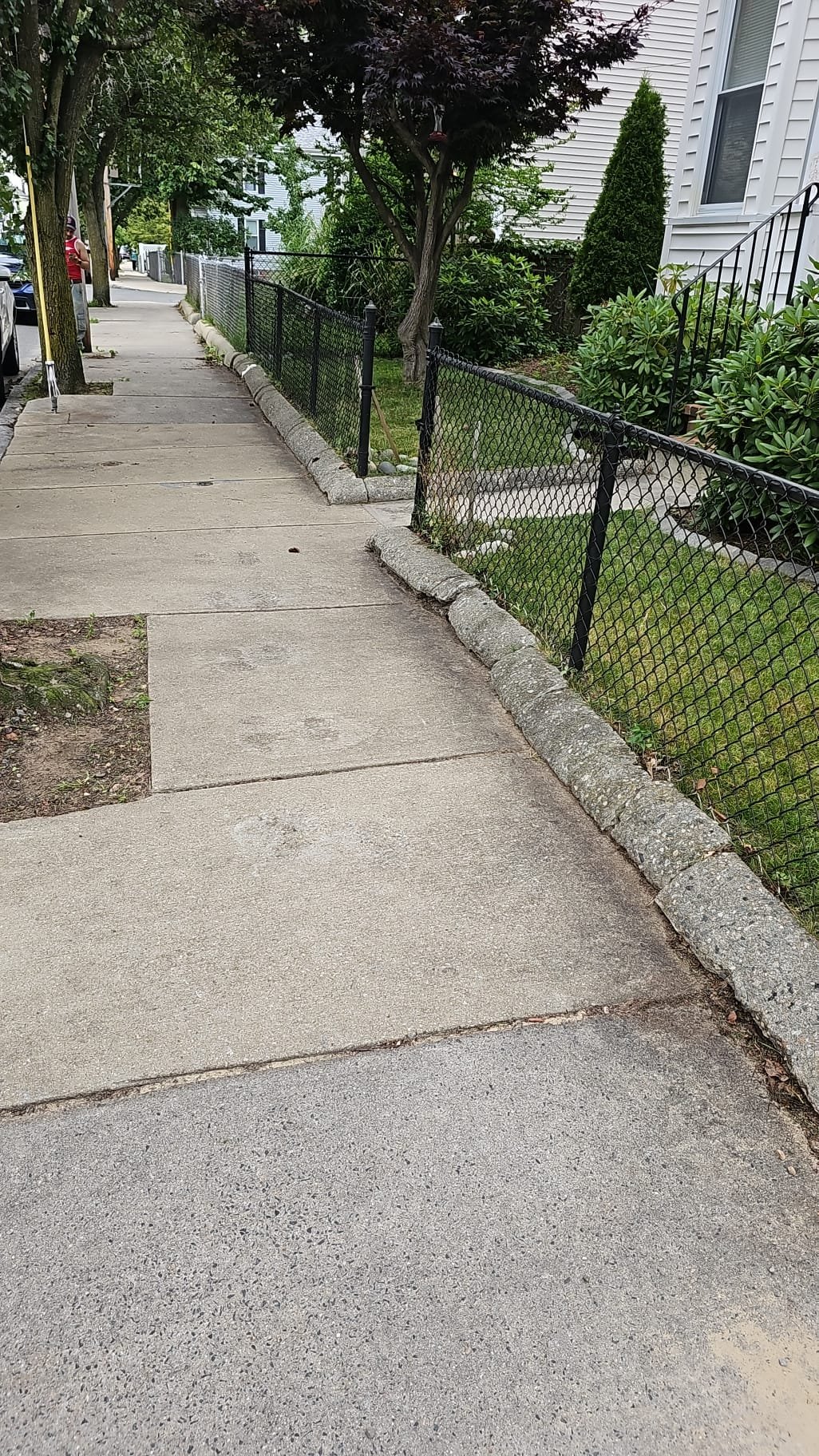 Clean residential sidewalk with edged grass and trimmed shrubs along fence line
